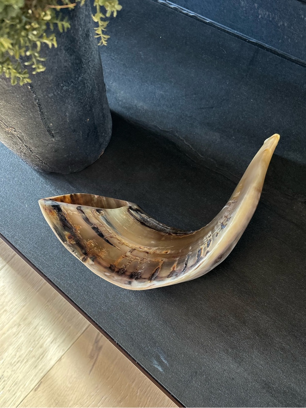 Handcrafted Traditional Shofar, Organic Polished Natural Animal Ram Horn, Decor